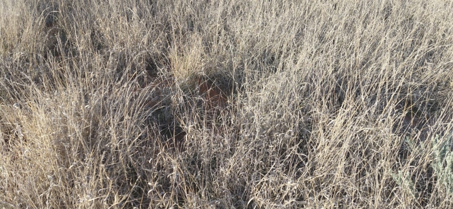 Commercial Property for Sale in Griekwastad Rural Northern Cape